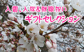 入園・入学特集