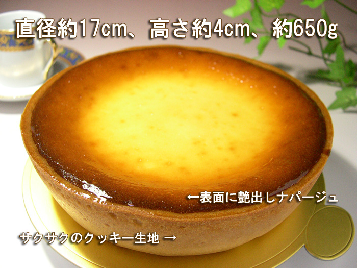 `[YP[Lڍ