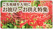 お彼岸ギフト